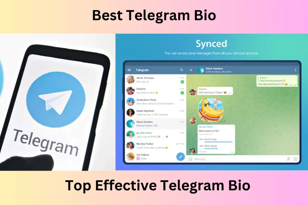 Best telegram Bio